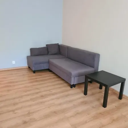 Apartament Przy Lesie - Brodwino 아파트 *